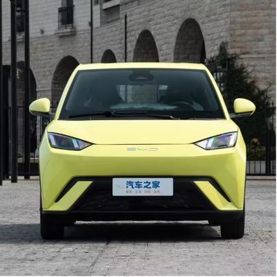 Auto Byd Seagull 2024 Flying Electric Car Pink Exterior Color 1500mm Weelbase